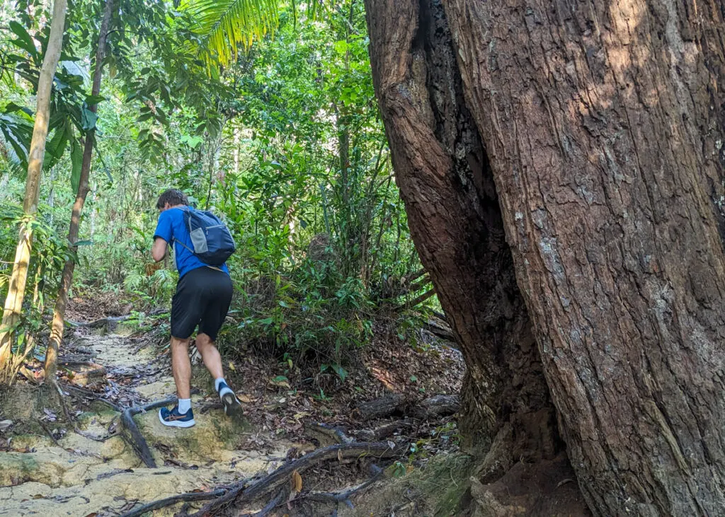 Penang National Park - hike to Turtle Beach