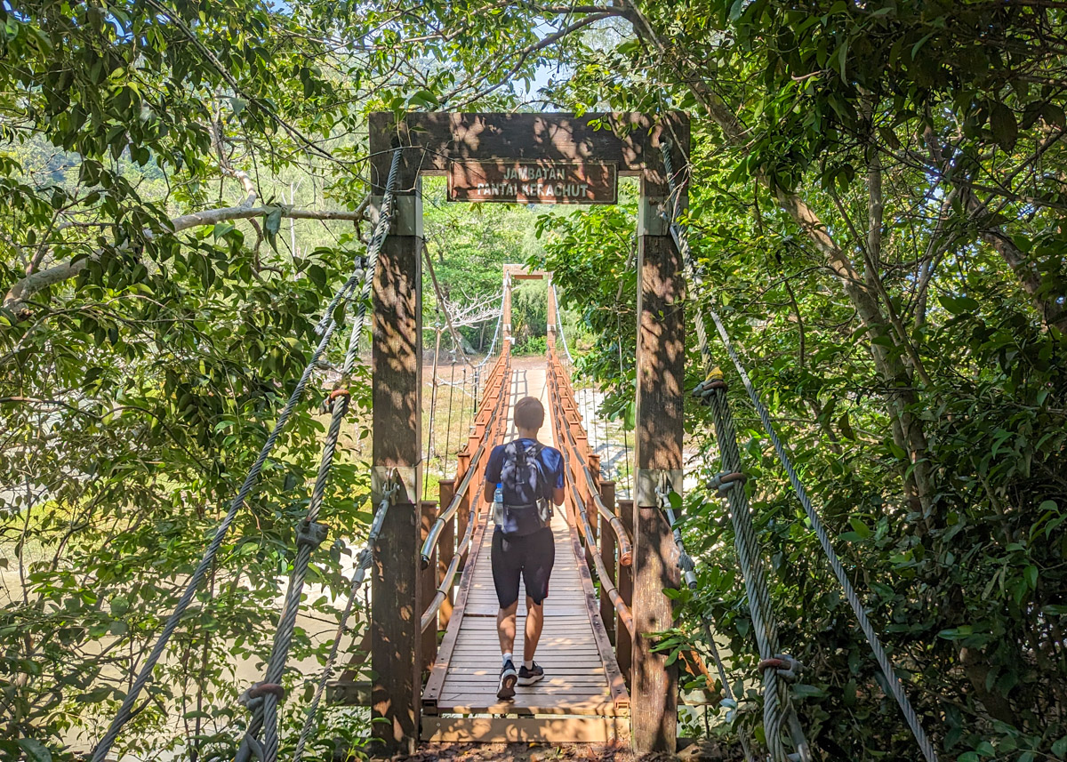Penang National Park - hike to Turtle Beach