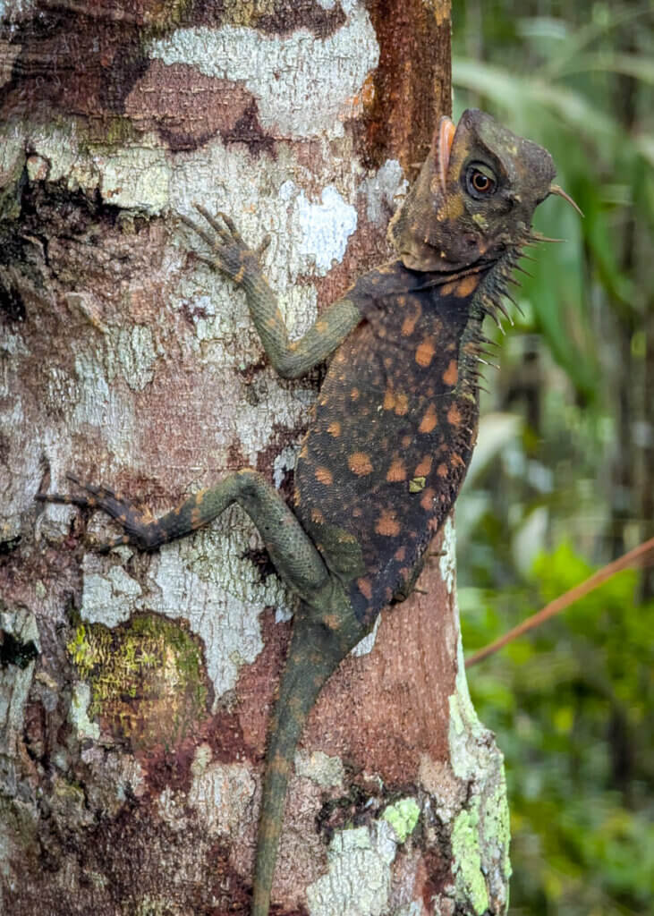 wildlife spotted on a Habitat guided walk