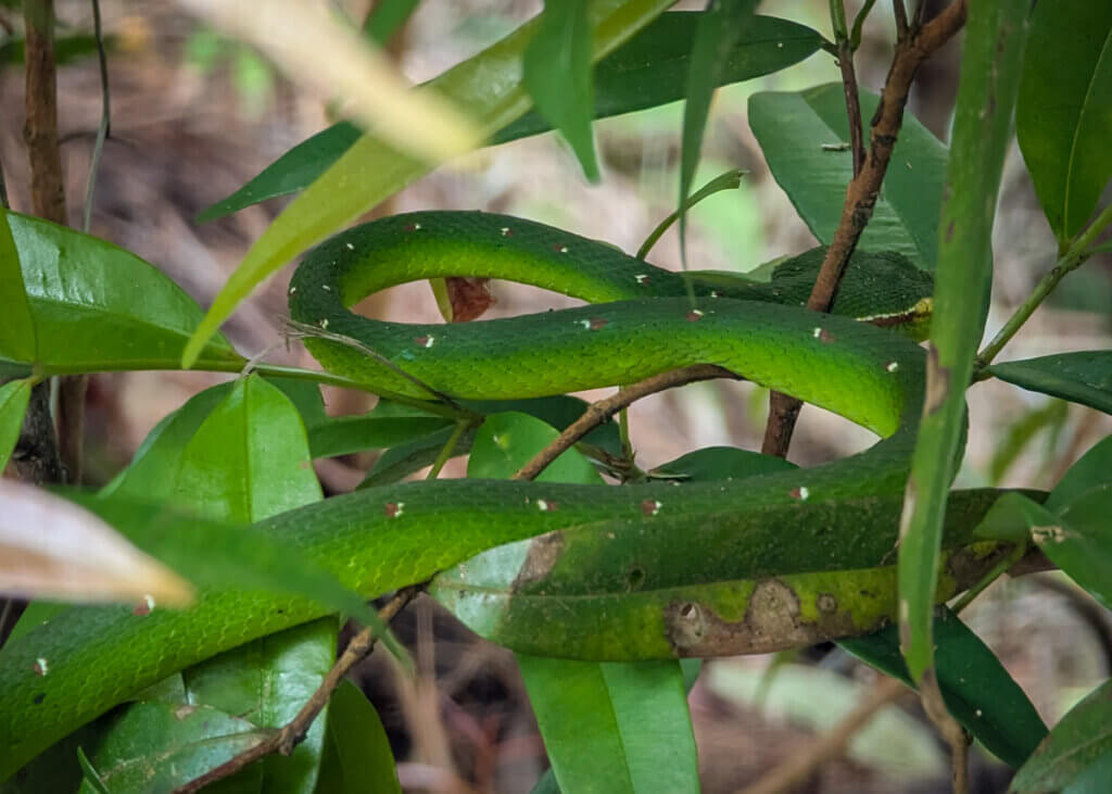 wildlife spotted on a Habitat guided walk