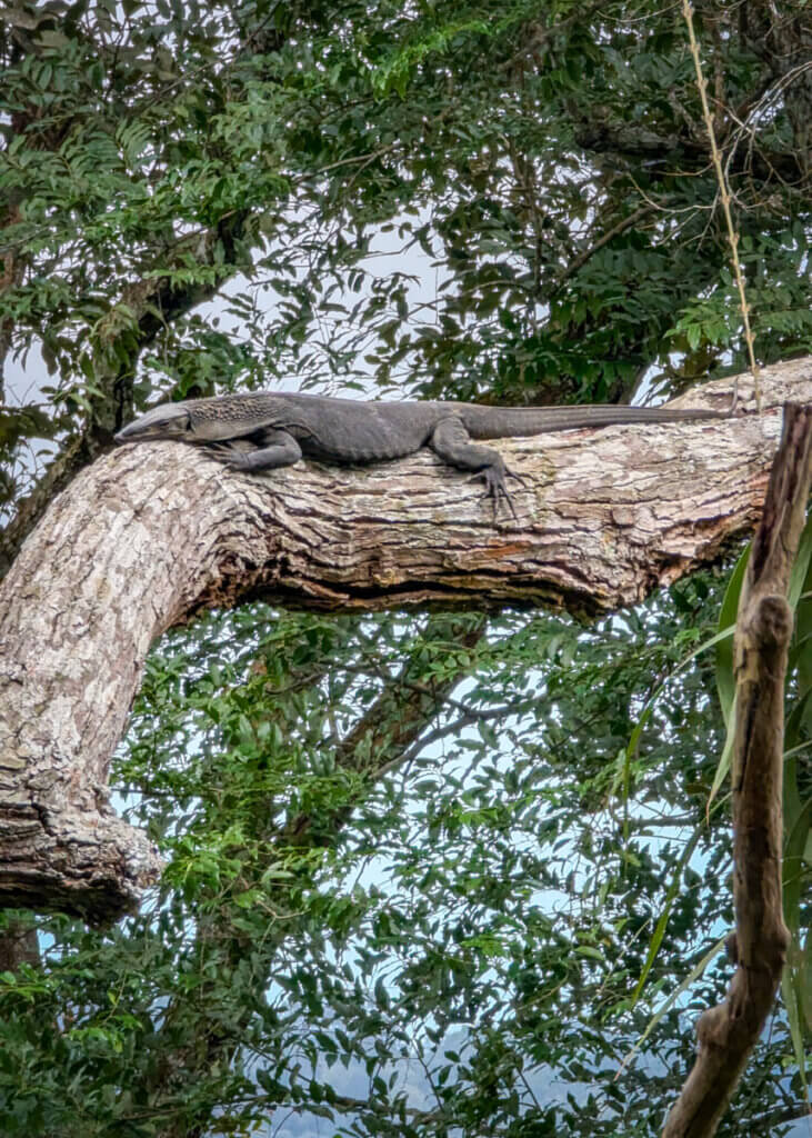 wildlife spotted on a Habitat guided walk