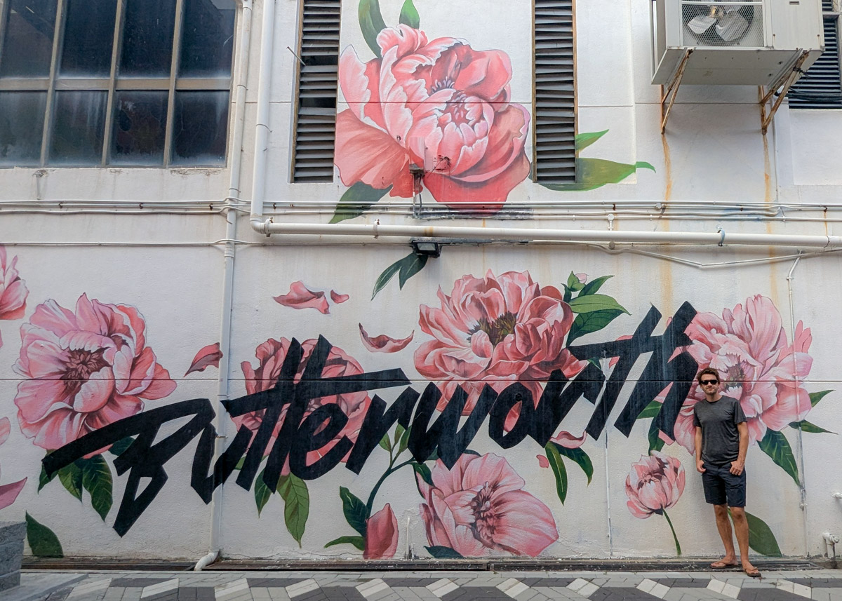 Butterworth street art